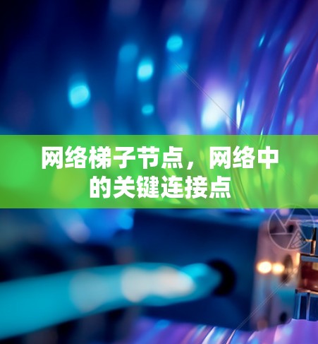 网络梯子节点，网络中的关键连接点