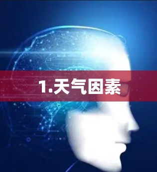 1.天气因素