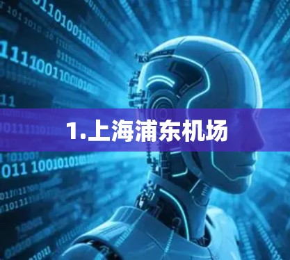 1.上海浦东机场