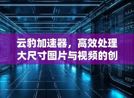 云豹加速器，高效处理大尺寸图片与视频的创新解决方案
