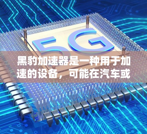 黑豹加速器是一种用于加速的设备，可能在汽车或无人机领域有应用。它可能基于黑豹品牌或设计，用于提高速度或效率。以下是对该加速器的详细分析