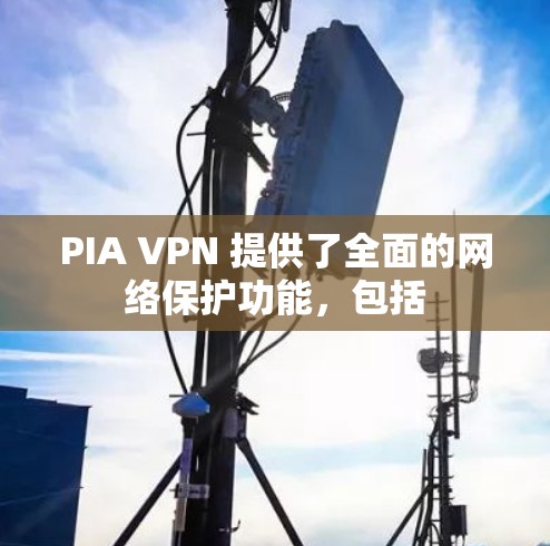 PIA VPN 提供了全面的网络保护功能，包括