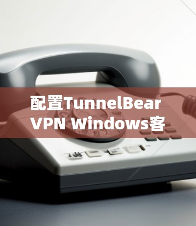 配置TunnelBear VPN Windows客户端的步骤如下