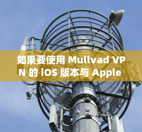 如果要使用 Mullvad VPN 的 iOS 版本与 Apple 的 Wi-Fi 网络进行连接，可以考虑以下几种方法