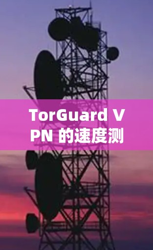 TorGuard VPN 的速度测试结果表明其在主要网络（美国、英国、欧洲、南美、亚洲和非洲）的连接速度和延迟表现良好。以下是详细分析