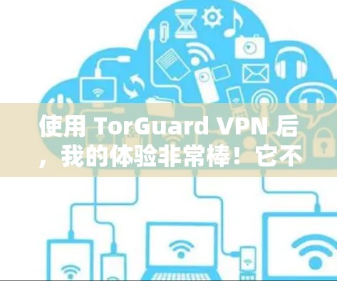 使用 TorGuard VPN 后，我的体验非常棒！它不仅在安全性方面表现优异，而且在实际使用体验上也非常方便