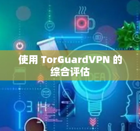 使用 TorGuardVPN 的综合评估