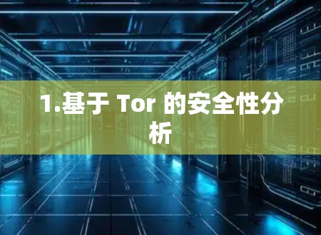 1.基于 Tor 的安全性分析