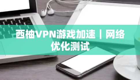 西柚VPN游戏加速|网络优化测试 西柚VPN游戏加速|网络优化测试
