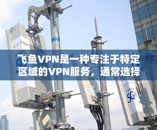 飞鱼VPN是一种专注于特定区域的VPN服务，通常选择机场、高速公路或城市关键点的设备作为节点。以下是详细的了解和推荐