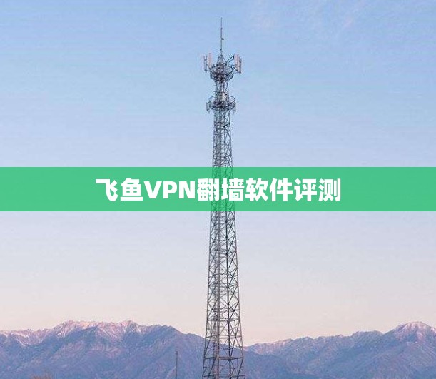 飞鱼VPN翻墙软件评测 飞鱼VPN翻墙软件评测