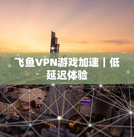 飞鱼VPN游戏加速｜低延迟体验