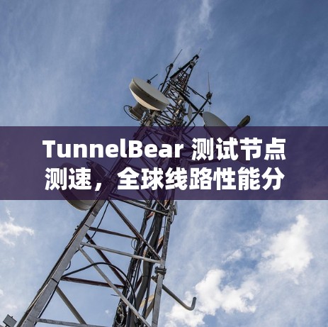 TunnelBear 测试节点测速，全球线路性能分析