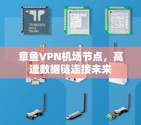 章鱼VPN<strong>机场节点</strong>，高速数据链连接未来