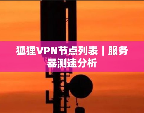 狐狸<strong>VPN节点</strong>列表｜服务器测速分析
