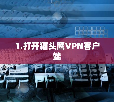 1.打开猫头鹰VPN客户端