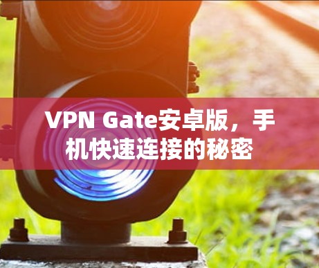 VPN Gate安卓版，手机快速连接的秘密
