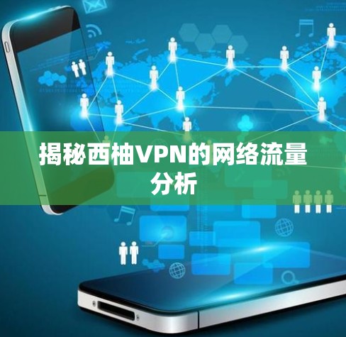 揭秘西柚VPN的网络流量分析