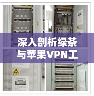 深入剖析绿茶与苹果VPN工具的异同与优缺点