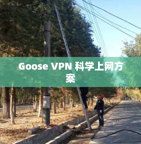 Goose VPN 科学上网方案 Goose VPN 科学上网方案