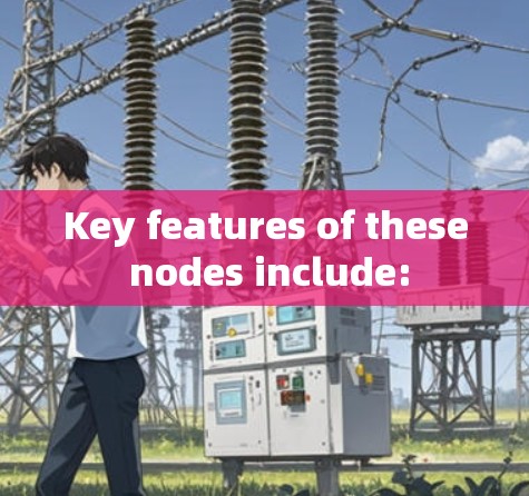 Key features of these nodes include: Key features of these nodes include: