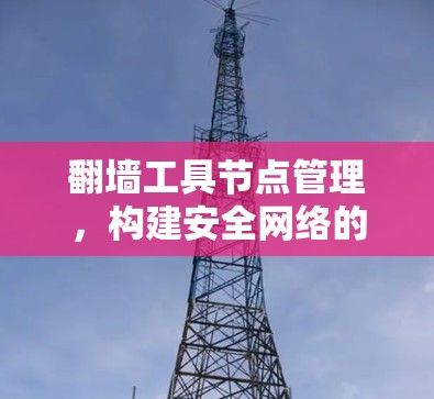 翻墙工具节点管理,构建安全网络的必由之路 翻墙工具节点管理,构建安全网络的必由之路