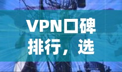 VPN口碑排行，选择的明智选择