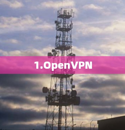 1.OpenVPN