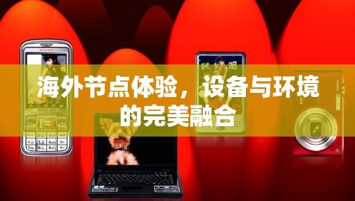 海外节点体验，设备与环境的完美融合
