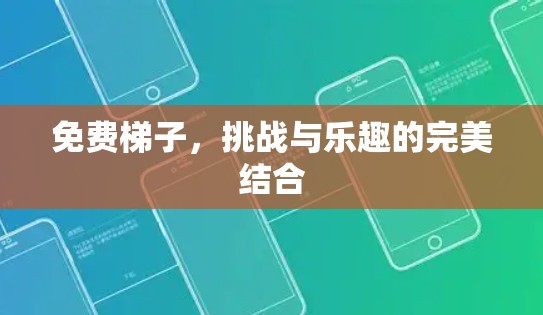 免费梯子，挑战与乐趣的完美结合