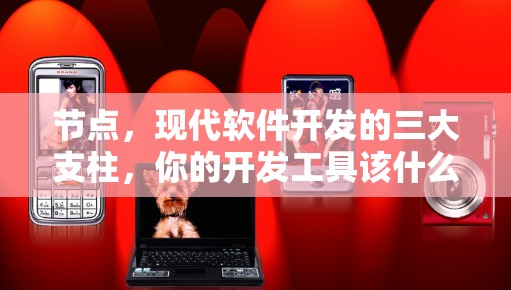 节点，现代软件开发的三大支柱，你的开发工具该什么样？