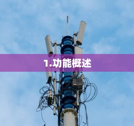 1.功能概述