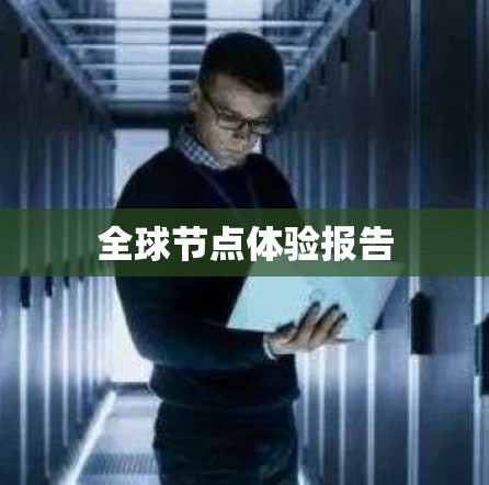 全球节点体验报告