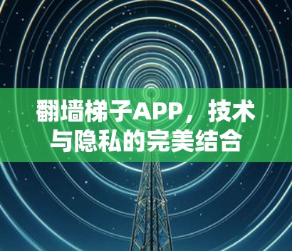 翻墙梯子APP，技术与隐私的完美结合