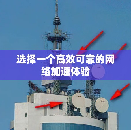 选择一个高效可靠的网络加速体验