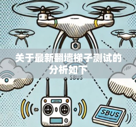 关于最新翻墙梯子测试的分析如下
