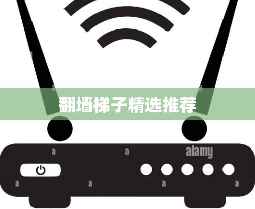 翻墙梯子精选推荐