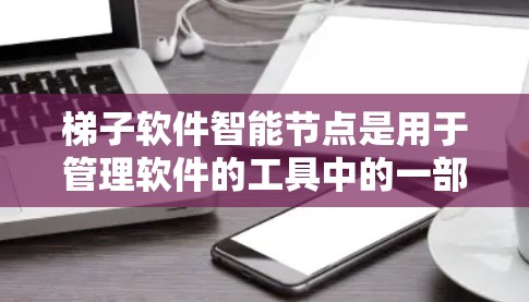 梯子软件智能节点是用于管理软件的工具中的一部分,具备以下特点